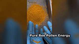 Pure Bee Pollen Natural Energy Booster