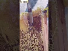 Natural Honeycomb Honey For Your Health