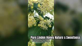 Pure Raw Linden Honey Natural Health Sweetness