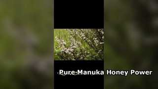 New Zealand Manuka Honey UMF5 MGO100 Pure Raw