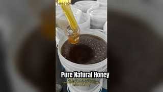 Pure Raw Honey Organic Natural Bee Honey