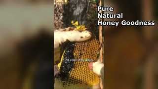 Why Black Honey Is the Ultimate Superfood for Your Pantry