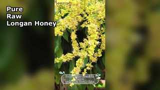 Longan Honey vs Regular Honey—Why This Tropical Twist Is a Must-Try