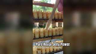 The freshest royal jelly of 2026, more nutritious