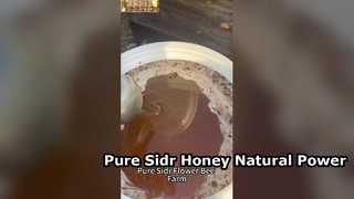 Pure Sidr Honey Natural Energy Boost