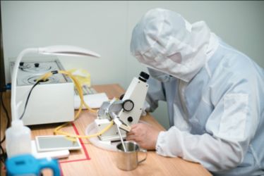 BEE STAR TO GLORIFY YOUR WONDERFUL HONEY LIFE manufacturer production line