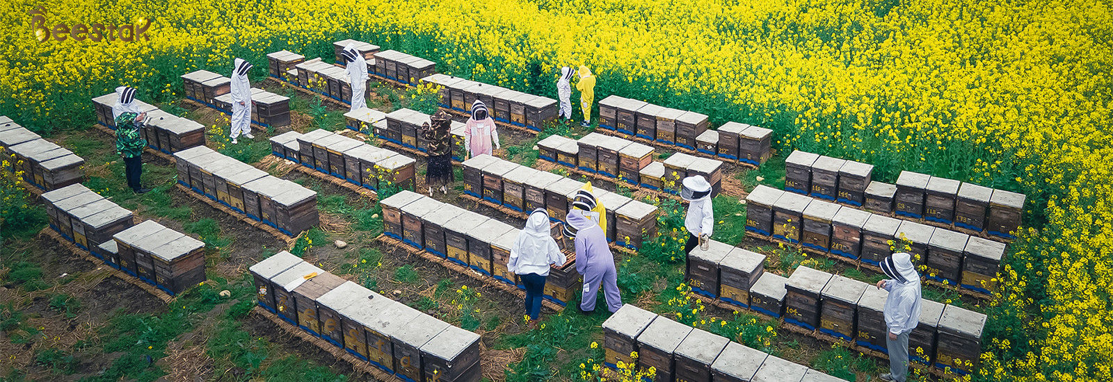 quality Natural Bee Honey factory
