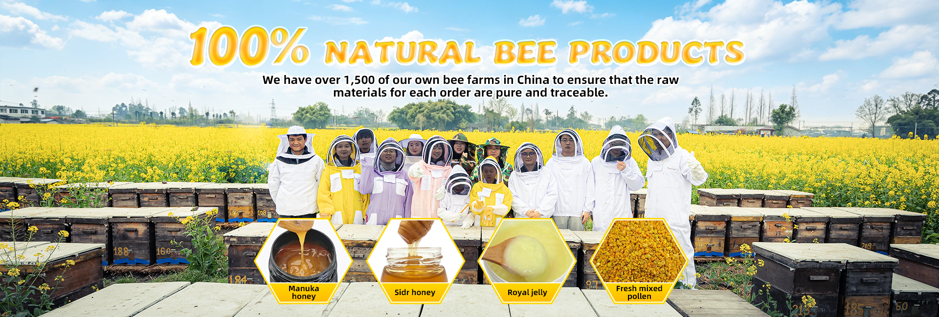 Quality Raw Bee Pollen factory