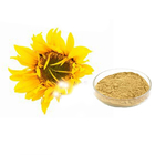 Natural Sunflower Raw Honey Bee Pollen Powder 98% Purity