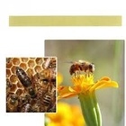 New Manhao Strip Tau-Fluvalinate Material Bee Medicine Curing Varroa Bee Mites