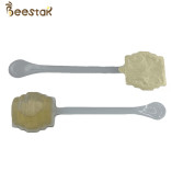 Buy New Arrival Natural Bee Honey 100% Pure Raw Honey Acacia Spoon Honey Customized online manufacture