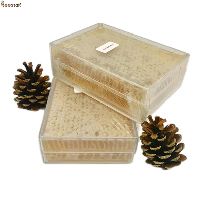 Buy Natural Bee Honey from Beestar 100% Natural and Delicious Honeycomb Honey for Direct Consumption online manufacture