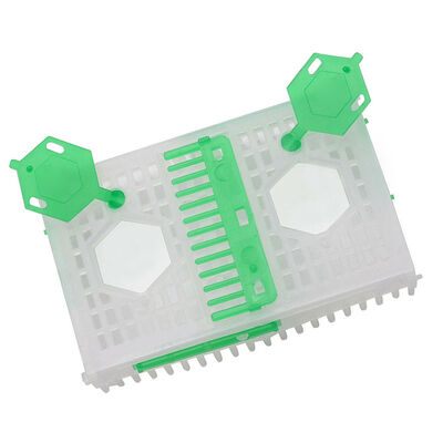 Buy Beestar Bulk Wholesale High Quality Plastic Collapsible Queen Cage Rearing System Equipmentraw For Beefarm online manufacture
