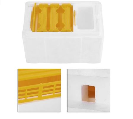 Single Layer Foam Bee Hive Equipment Mating Breeding Box Beekeeping Queen Rearing