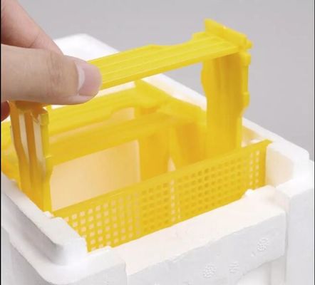 Single Layer Foam Bee Hive Equipment Mating Breeding Box Beekeeping Queen Rearing