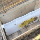 Food Grade Bee Hive Equipment 49*43.8*22.3cm Honey Bee Feeder Multi Function