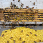 Natural Raw Honey Bee Pollen Fresh Organic Pure Bee Pollen