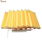 7 Pcs Auto Flow Hive Frames For Harvesting Honey Straight From The Beehive