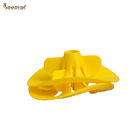 Plastic Simple Hornet Killer Honey Bee Catcher Beehive Accessories Insects Wasp Trap
