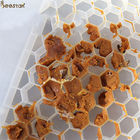 Apiculture Honey Bee Pollen Feeder Plastic Bee Feeder For Pollen Beekeeping Tools