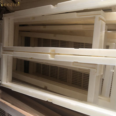 Plastic Beekeeping Equipment 6 or 12 Comb Honey Boxes With Comb Honey Frame