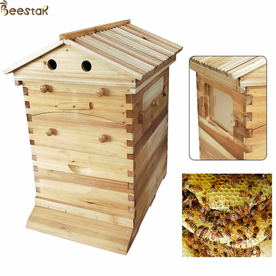 Buy Beehive Apiculture Beekeeping Equipment Automatic Self Flowing for Beekeeping online manufacture