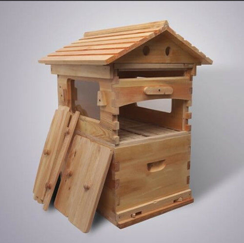 Flow Beehive And Frame Without Auto Frames Beehives Unassembled