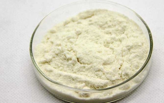 100% Natural Lyophilized Royal Jelly Powder For Health Care