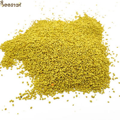Big Granual Organic Rapeseed Bee Pollen with 22% Protein for Human and Bee Consumption