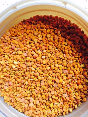 Big Granual Natural Bee Pollen