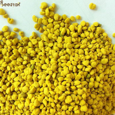 Big Granual Rapeseed Bee Pollen Granules with 40% Protein for Human and Bee Consumption