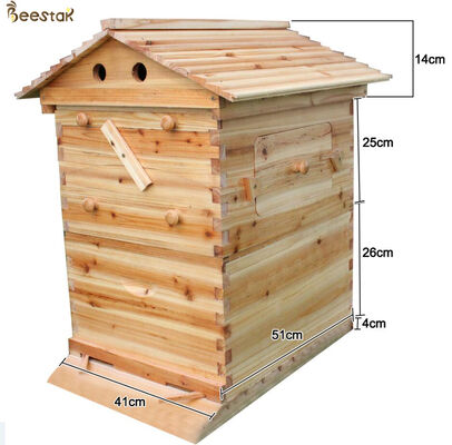 Unassembled Langstroth Flow Hive with 7 Plastic Frames Made of Chinese Fir Wood for Convenient Honey Extraction