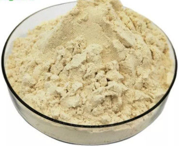 Pure Organic Fresh Royal Jelly Lyophilized Powder 5.5% 10-HDA Honey Bee Products