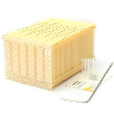 Food Grade Plastic Honey Flow Frame 49.5*24.5cm for Self-Flowing Honey in Flow Beehive