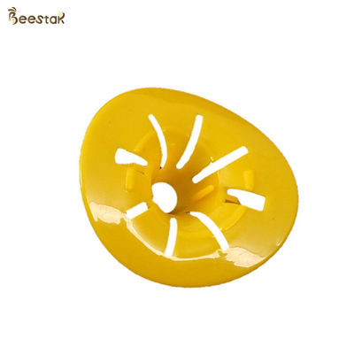 Plastic Simple Hornet Killer Honey Bee Catcher Beehive Accessories Insects Wasp Trap