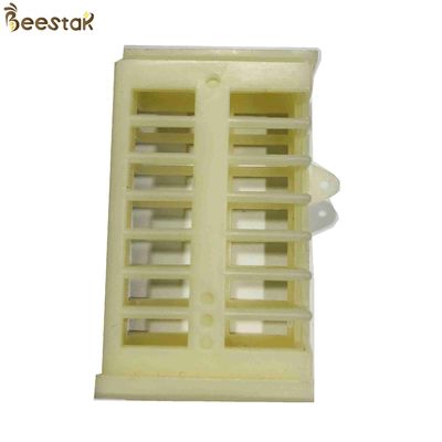 Plastic Queen Cage Queen Rearing Beekeeping Multifunctional Rearing System for Beekeeping
