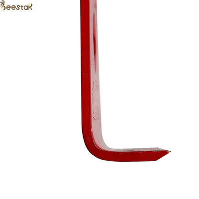 name