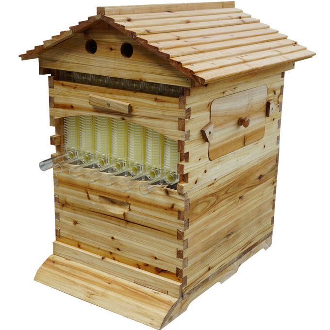Langstroth Flow Hive Beehive with 7 Plastic Frames Beehives and Frame